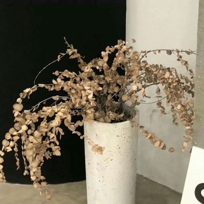 Furry插画风格探索思路兽圈群